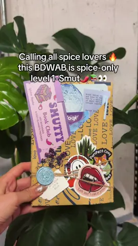 For the girlies who skip to the spicy chapters first 👀📚 BDWAB spice scale 1–5 #blinddatewithabook #BookTok #fyp #smuttok   