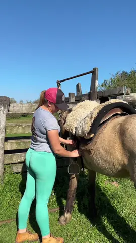 Andar a cavalo no campo  #cowgirl #fazendeiro #rotina #agrogirl #cavalo 