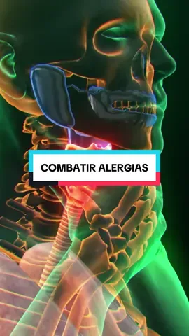 🤧 6 maneras naturales de combatir las alergias (mejores que cerrar la ventana): 1️⃣ Cebollas → ricas en quercetina, combaten la reacción alérgica desde la raíz. 2️⃣ Té de ortiga → antihistamínico natural, bloquea la histamina. 3️⃣ Cúrcuma + pimienta negra → antiinflamatorio potente, absorción +2000%. 4️⃣ Aceite de semilla negra → equilibra tu sistema inmune (1 cdita/día). 5️⃣ Miel cruda → microdosis de polen local que entrenan tu inmunidad. 6️⃣ Petasita → clínicamente probado, alivia congestión y fiebre del heno sin somnolencia. 👉 La naturaleza tiene las mejores medicinas. Desde dónde nos ves 🌍, déjalo en los comentarios y síguenos para optimizar tu salud. #alergia #salud #consejos #vidasaludable 