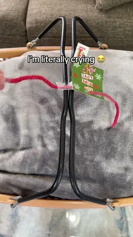 Wait till the end😭😭 #toastyhoody #dogs #toastyhoodie #tiktokmademebuyit 