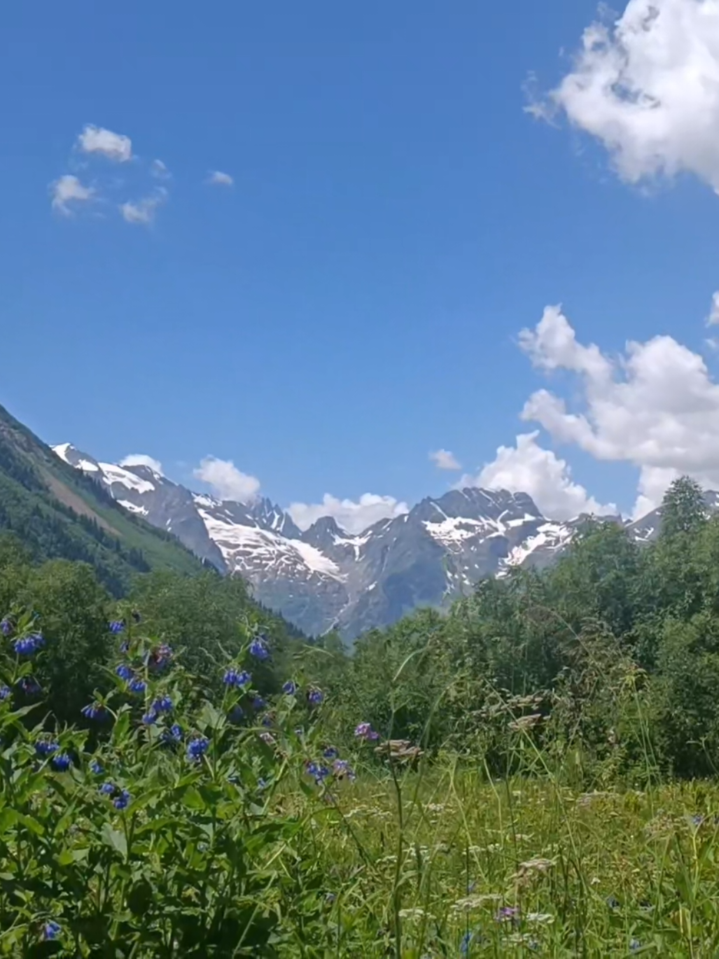Caucasus Vibe >>>🌄⛰️ #caucasus #kavkaz #mountain #141
