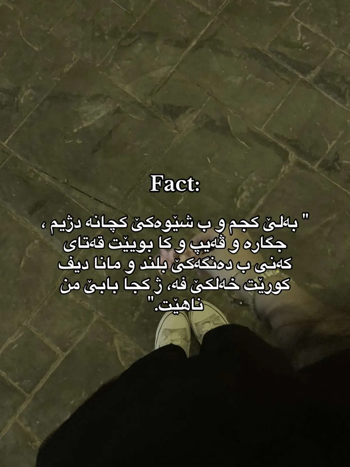 Ya petviya waki kchak bzhi chnki to waki kch ya zh daykbi, fr??#1millionaudition #sidra #muslimtiktok #🎀 