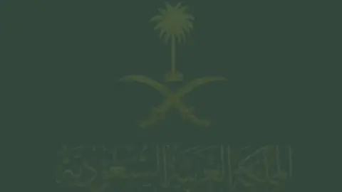 عرض اليوم الوطني لمعلمة الأنجليزي 🇸🇦🤍 #اليوم_الوطني_السعودي_95 #اليوم_الوطني #السعودية #اكسبلووووورررر #الوطن_العربي 