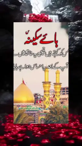hay sakeena#viraltiktok #video #😭😭😭😭😭😭😭😭😭😭 