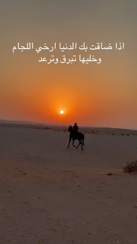 مربط أصايل قاسييون                        #خيل_وخياله🐎 #خيل_وخياله🐎🖤ماشاءالله #حصاني_كان_دلال_المنايا #خيل_عربي #الشعب_الصيني_ماله_حل😂😂 