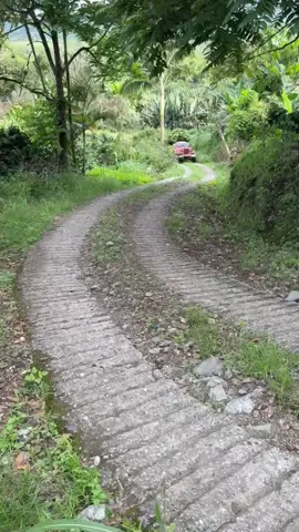 @Jeep’ Petos Col  🧡💨 #jeepetos #platano #viraltiktok #fyppppppppppppppppppppppp 