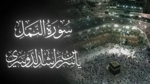 #قرآن #سورة_النمل #ياسر_الدوسري #islam #foryou #fyp 