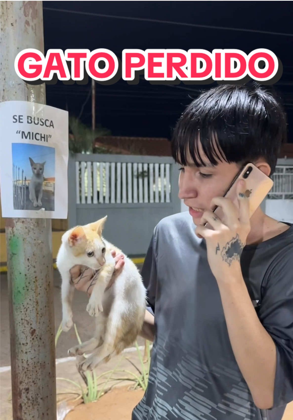 Si no hay recompensa, no hay gato😾💵 #humor #gatos #perdido #recompensa 