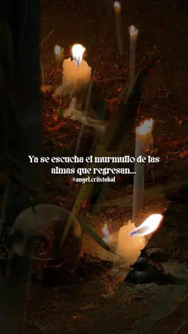 Ya se escucha el murmullo de las alma que regresan…  . . . . #oaxaca #diademuertos #travel #paratii #diademuertosmexico 