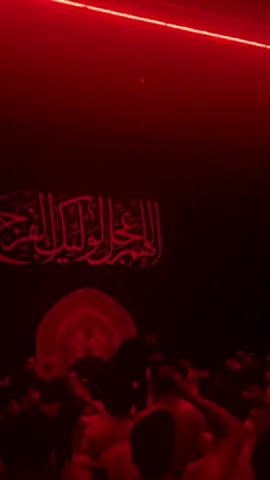 ياكربله💔#سجادالمحمداوي #مضيف_قمر_بني_هاشم 