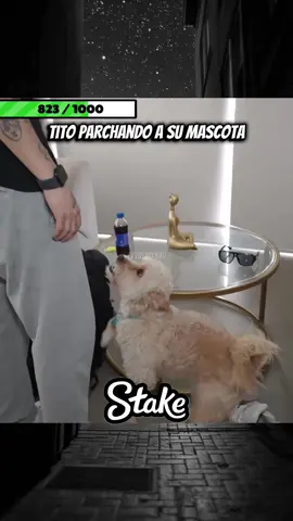 #cristorata7 #tito #aguspadilla #rataclips #kickperu 