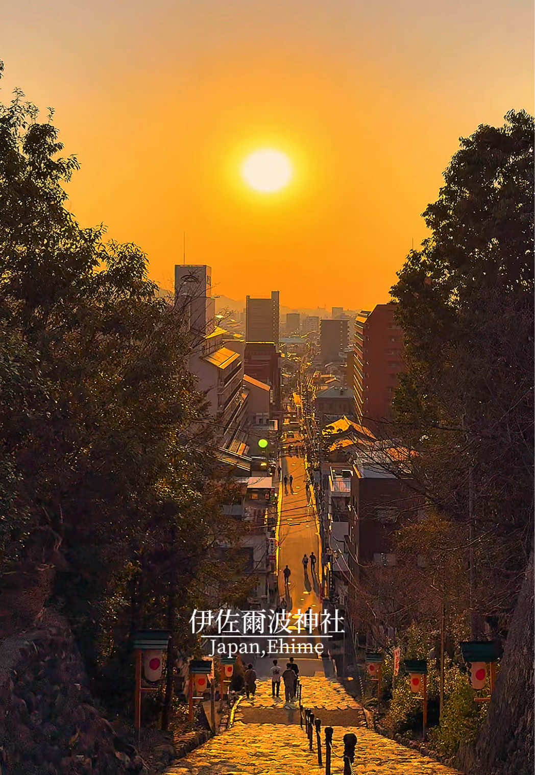 人生に一度は見たい光の道🌅 #伊佐爾波神社 #日本の絶景 #黄昏時 #japantravel #ehimetrip 