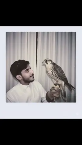 ………شعر الغزل جيت كلي بأسباب منهو هويته باطير ماشفت خلي ما شفته ولا لقيته مثل القمر يوم هلي فديت روحه فديته ياليت شوفه حصلي تكفى ياليته ياليته رموش عيونه تظلي سُهوم عينه مميته الخشم سيف يسلي و الزين كله حويته.    #foryou #fypシ゚ #trending 