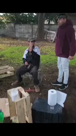 #viralvideos #videoviral 
