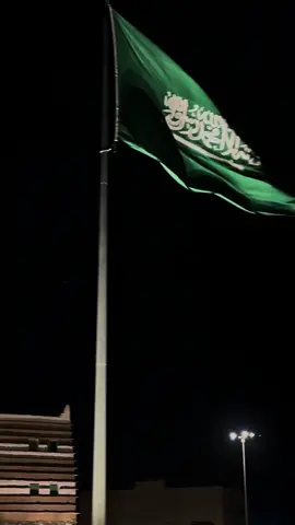 حنّا العرب يا مدِّعين العروبة 🇸🇦💚🤍#95saudinationalday #ksa🇸🇦 #اليوم_الوطني_السعودي_95_🇸🇦⚔️ #sudiarabia🇸🇦 