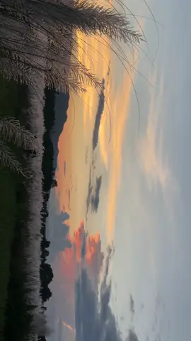 Dashain vibes🥳 