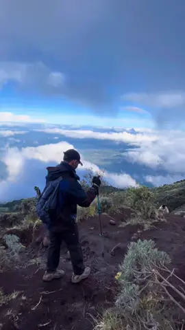 Devinisi Tenang #CapCut #pendakigunung #gunungsumbing #jawatengah #wonosobo 
