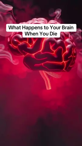 What Happens to Your Brain When You Die what happens to the brain at death brain after death explained near death brain activity neuroscience of dying brain death consciousness psychology of dying life after death brain waves #darkpsychology #neuroscience #brainfacts #psychologyfacts #viral 