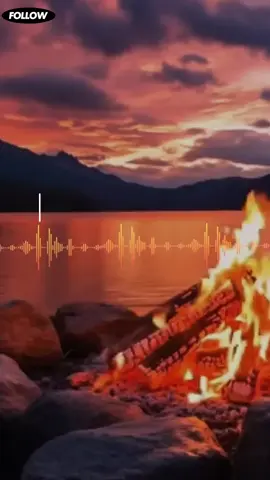 #creatorsearchinsights #eritreantiktok🇪🇷🇪🇷habesha #lyricsvideo #kirosasfeha #tigraytiktok🇻🇳🇻🇳tigraytiktok 