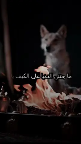 #أكسبلور_شعر_حكم_خواطر 