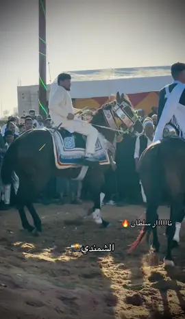 #الشمندي🔥🔥 #سلطان #ليبيا🇱🇾 #رقم_صعب🔥 #فرسان_ليبيا 