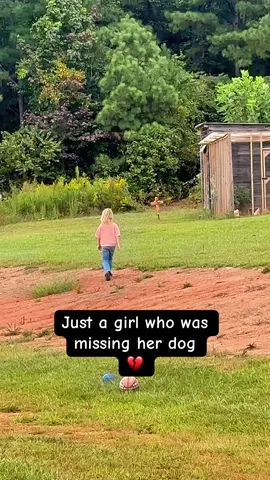 Watching her deal with this has been so heartbreaking. We all miss you sweet boy. #dogsoftiktok #dogloss #kidsoftiktok #heartbreak #fyp