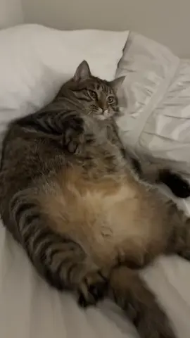 #mochi 