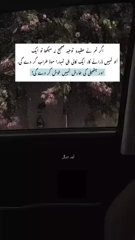 🤍 #aina_e_miraal #deeplines #unfreezemyacount #growmyaccount #creatorsearchinsights 
