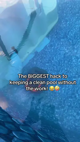 This has saved me this summer!!! 😍 #robotvacuum #poolhack #poolvacuum #pool #lifesaver 