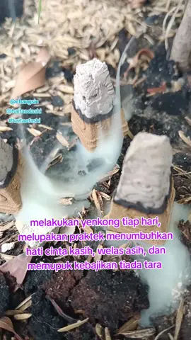 mari kita sama sama memupuk kebajikan tiada tara, mempraktekkan cinta kasih #haitaofashi #haitao #taiwan #kerucutyenkong #fypシ゚ 