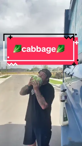 I love cabbage 🫶🏼🥬 #trashsalad #bluecollar #boydinner #bringbackboydinner 