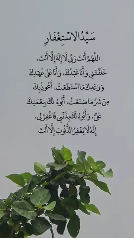 اللهم انت ربي لا إله إلا أنت خلقتني وأنا عبدك وأنا على عهدك ووعدك ما استطعت #اللهم_انت_ربي_لا_اله_إلا_أنت #سيد_الاستغفار #اذكار_الصباح_والمساء #اذكار #صباح_الخير 