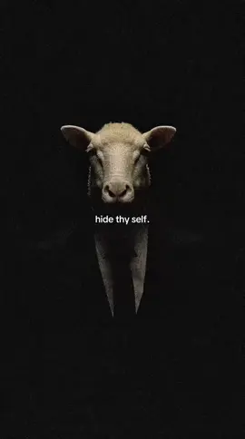 What they don’t know they can’t take. #hide #self #awareness 