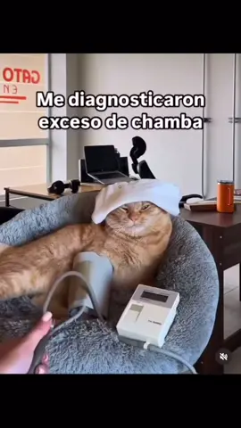 es un vicio que no tepuedes quitar. #trabajo #humor #humortiktok 