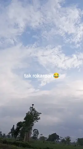 😂#fyp#katakatamadura