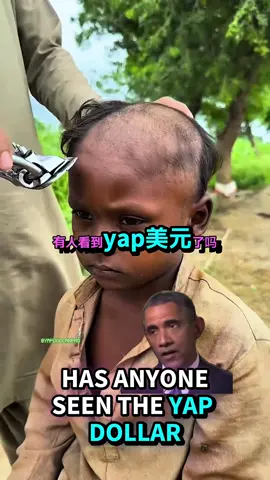 Has anyone seen him? #yapdollar #LanguageLearning #fyp 