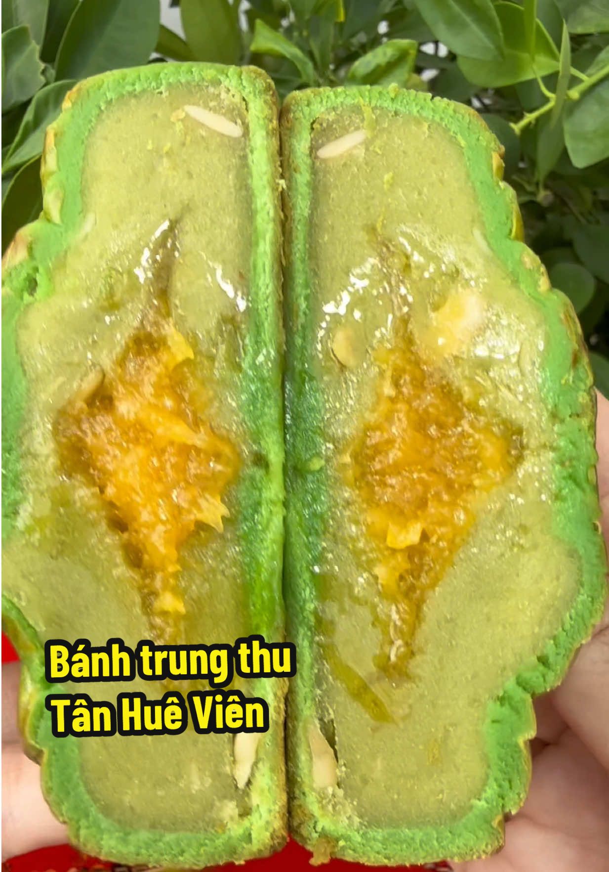 Tết trung thu năm nay là năm đầu tiên, mình ăn thử bánh trung thu Tân Huê Viên ta nói nó ngon lắm. Vị này là kim sa trà xanh nè mấy bà #banhtrungthu  #banhtrungthutanhuevien #banhkimsatraxanh #nhabepcuamit #trungthu2025 