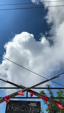 Hữu tình luôn