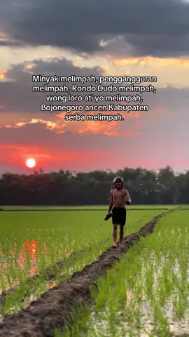 Bojonegoro dengan segala kelimpahannya💚 #komedi #bojonegoro #rajasalmanbojonegoro #fyp 