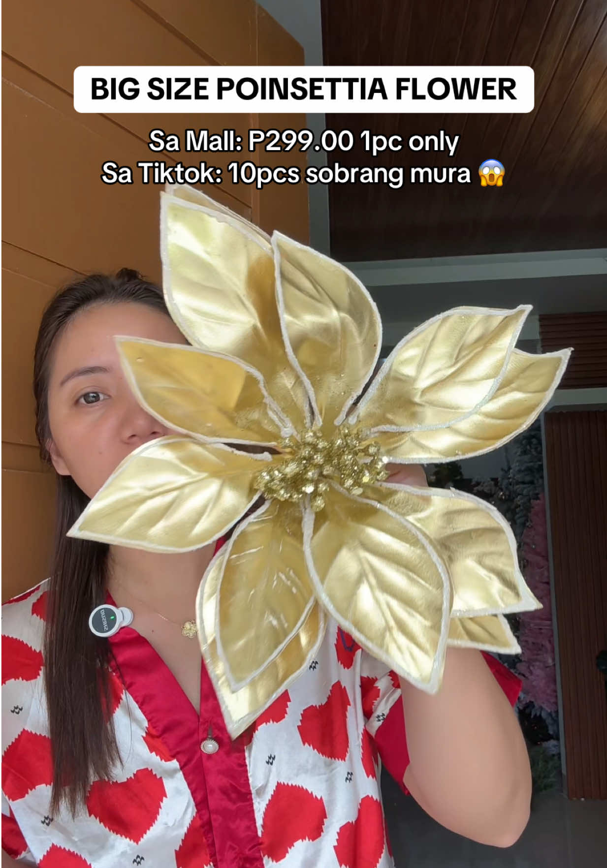 #christmaspoinsettia #poinsettia #poinsettiasforchristmas 