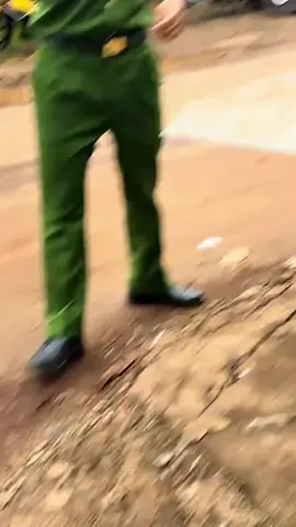 Xe điện bị bắt