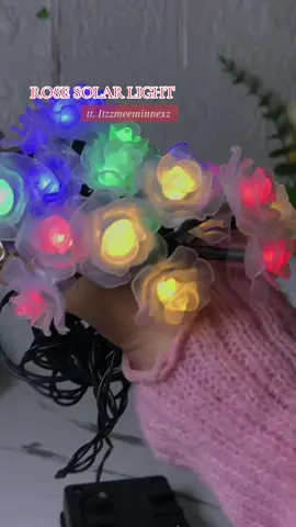 From plain patio to ✨ fairy garden realness! No kuryente? No problem solar-powered and waterproof! Perfect for chill nights, date setups, or pang-content goals. #gardenglow #SolarRoseLight #aestheticonabudget #TikTokFinds #solarchristmaslights 