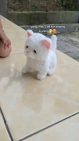 kucing lucuu#mainan #mainananak #kucing #kucinglucu #fyppppppppppppppppppppppp 