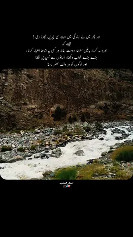 اور پھر میں نے زندگی میں بہت سی چیزیں چھوڑ دی ! جیسے کہ  بھروسہ کرنا، باتیں منوانا، دوست بنانا، ہر کسی پہ اندھا اعتبار کرنا ، بڑے بڑے خواب دیکھنا، انسانوں سے اُمیدیں لگانا  اور لوگوں کو ہر وقت میسر رہنا! #fyp #lines🔥 #fyyyyyyyyyyyyyyyyyyy #fypvirall #foryoupagе 