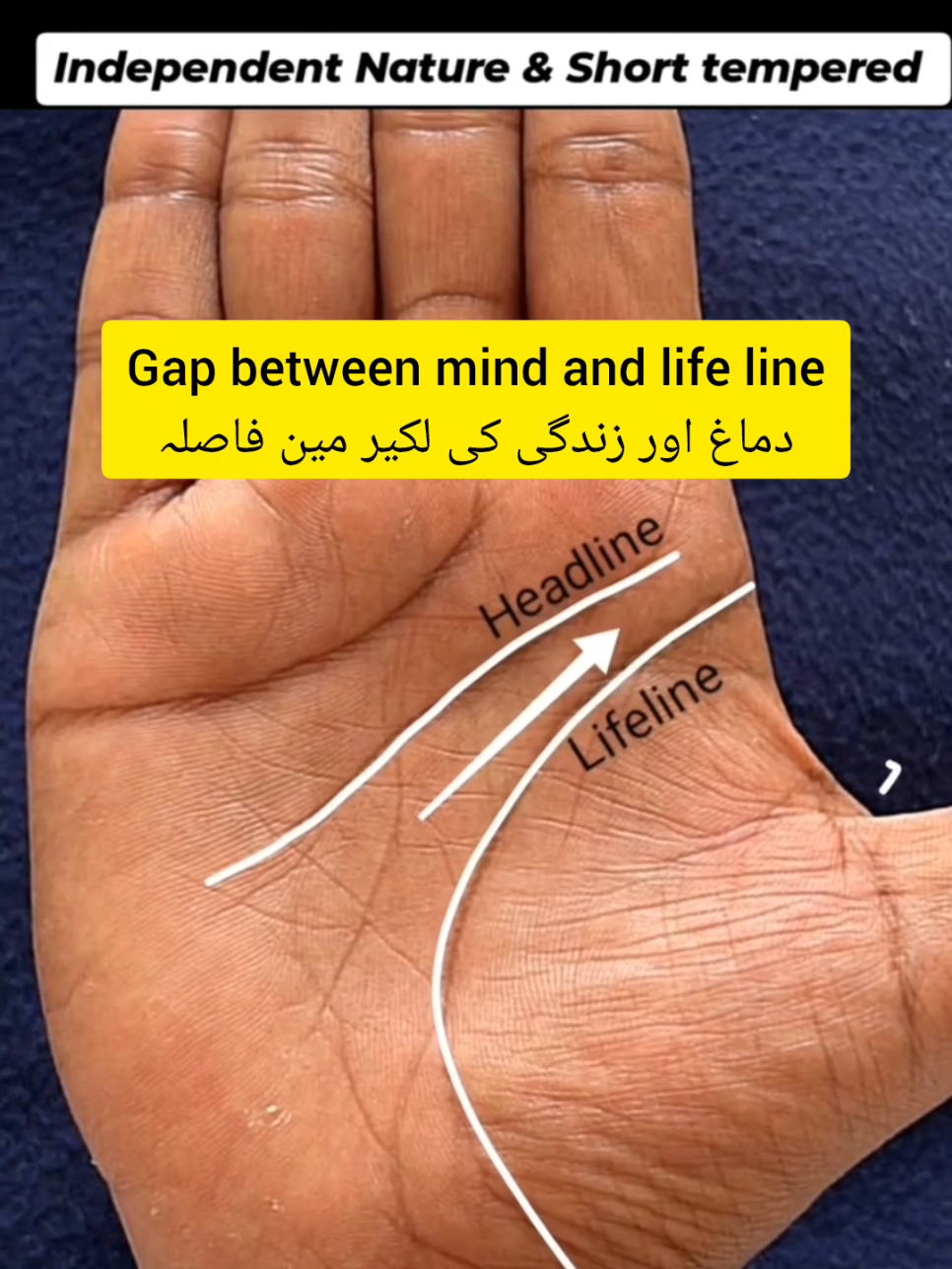 Gap mind and life line #foryou #fyp #nature #viraltiktok #palmistry 