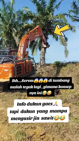 Di tumbang malah tegak lagi#tiktokviral #fypシ゚ #pejuangrupiah 