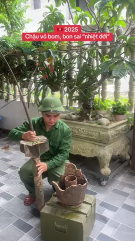 Tiếp tục chuyên mục chậu cây làm từ mảnh bơm từ trường và Cây nhiệt đới của Mĩ