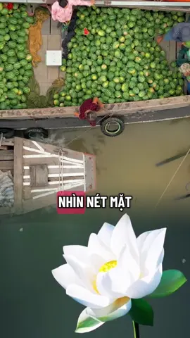 Hãy quan tâm đến gia đình mình nhiều hơn mọi người nhé..#antinh静 