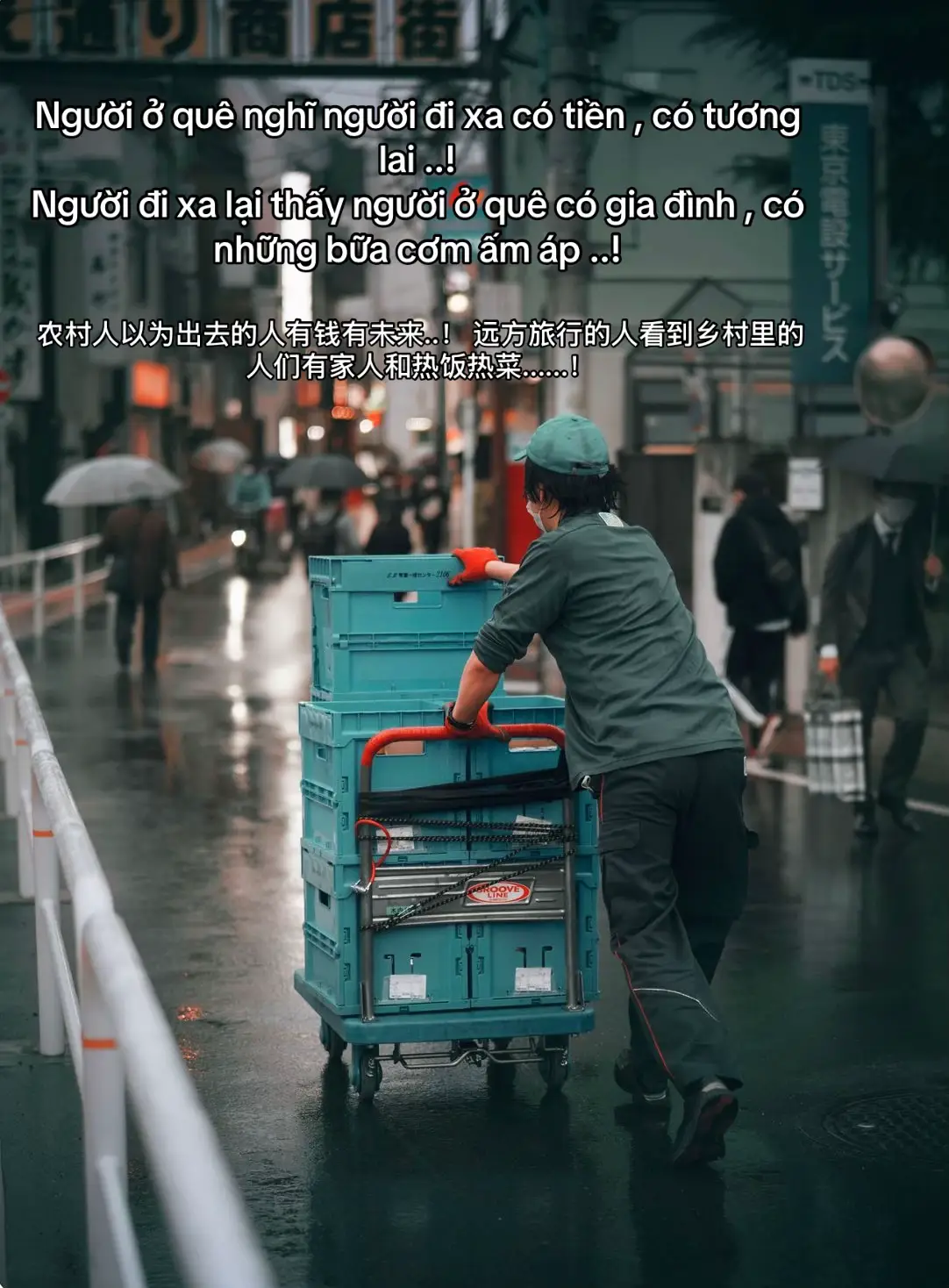 Người ở quê nghĩ người đi xa có tiền , có tương lai ..! Người đi xa lại thấy người ở quê có gia đình , có những bữa cơm ấm áp ..!#musicheals🎵🎵 #tramcamxuc💔 #cuocsong #đời #cuocsongxanha 