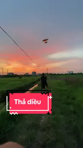 Kéo diều là cũng phải có kiểu nha ae #xuhuong #ducquangsaodieu #thadieu #dieusaohaiduong  @Đức Quang  @Đức Quang  @Đức Quang 